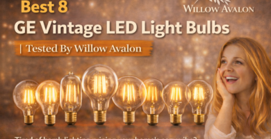Best 8 GE Vintage LED Light Bulbs
